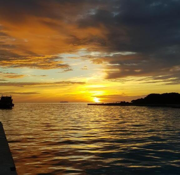 پانسیون Coral Beach Maldives