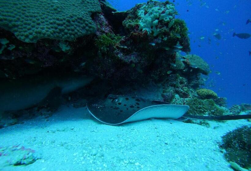 پانسیون Coral Beach Maldives