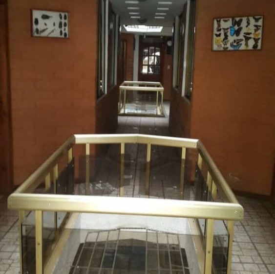 Pensionat Hostal Alcazar