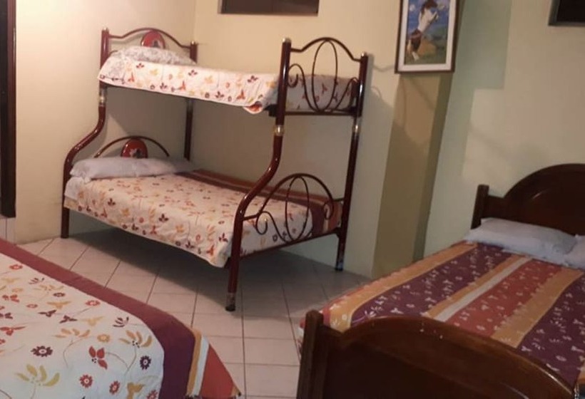 Pensionat Hostal Alcazar