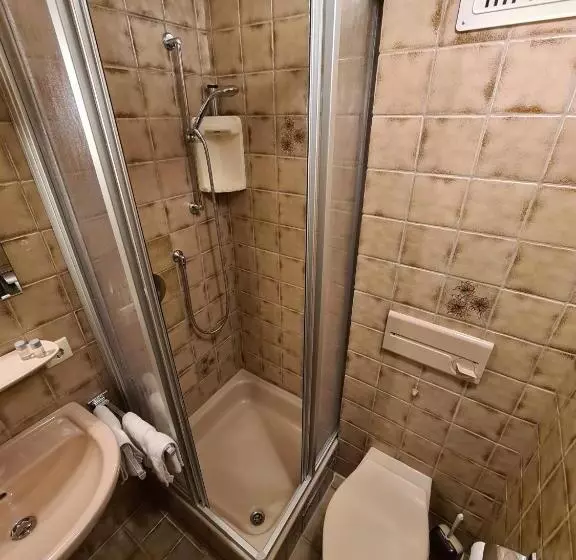 Alpenpension Bergidyll