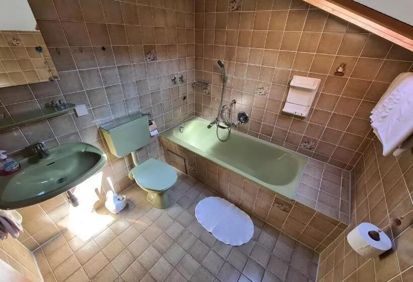 Alpenpension Bergidyll