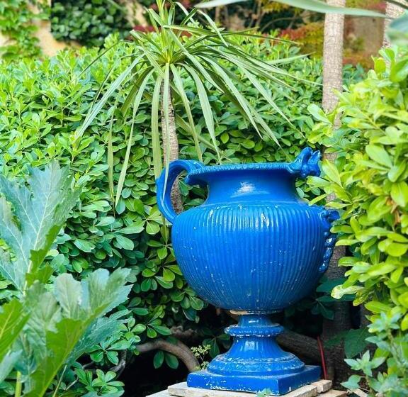 ベッドアンドブレックファースト La Maison Du Barry   Piscine   Billard   10 Personnes