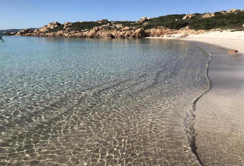 فنادق الكبسولة Domus De Carrera