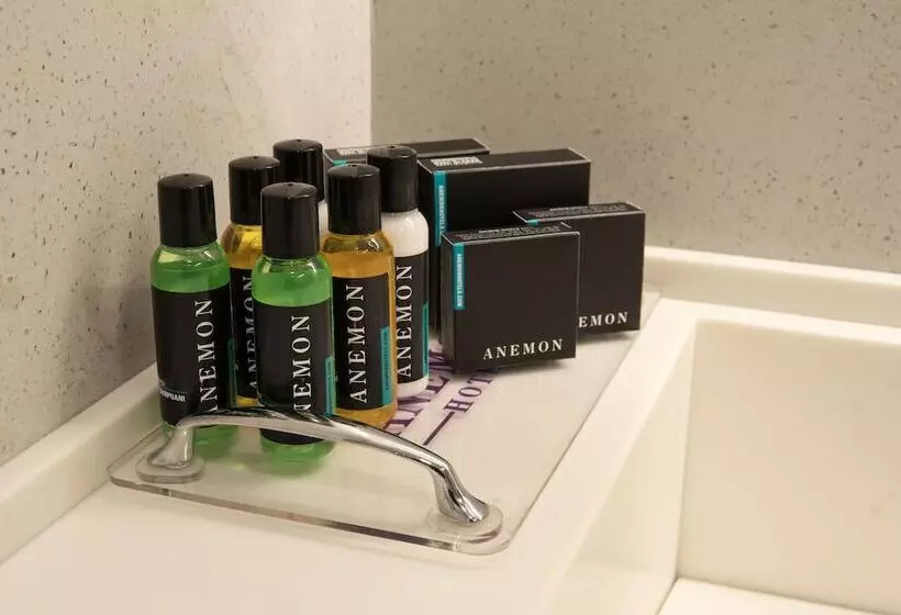 Anemon Kent Aydın Otel