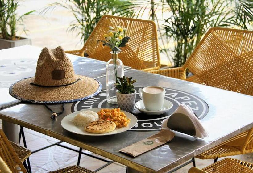 בית מלון כפרי Boutique Budapez