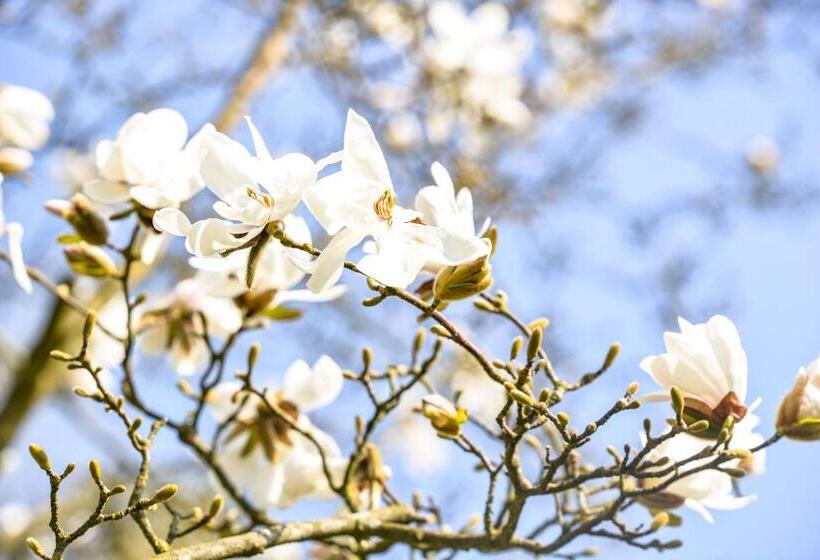 בית מלון כפרי De Grote Zwaan