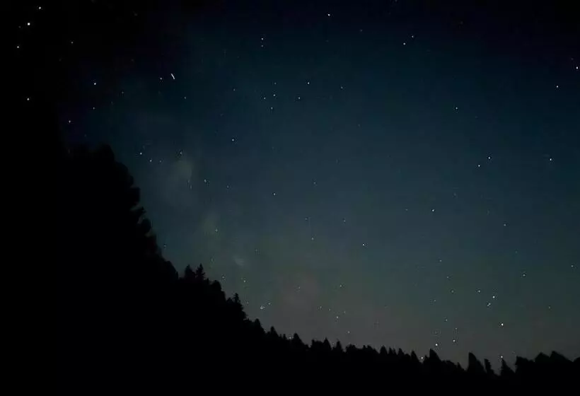 Majatalo Villa Bischofsberg   Lärchen Wellness Apartment