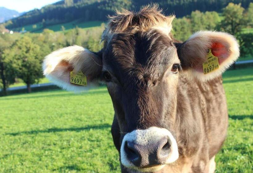 펜션 Villa Bischofsberg Lärchen Wellness Apartment