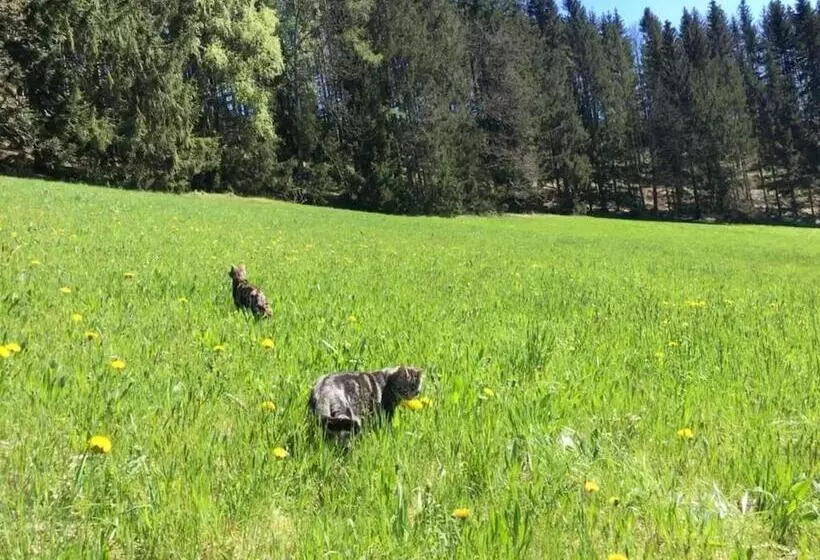 Majatalo Villa Bischofsberg   Lärchen Wellness Apartment