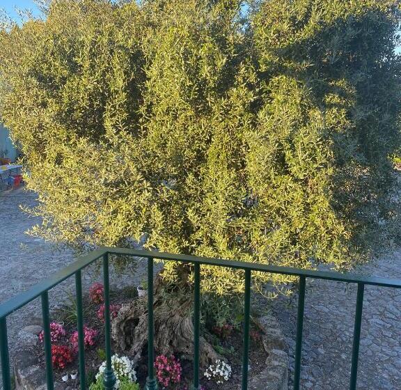 酒店 Casal Da Batoca Nature House