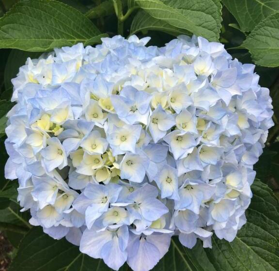 酒店 Casal Da Batoca Nature House