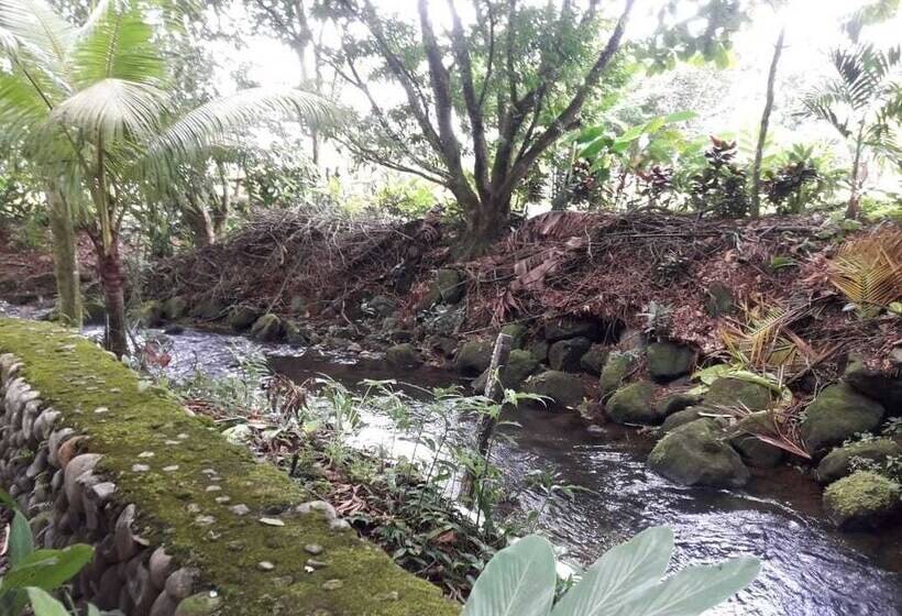 فندق Rio Danta Hostel