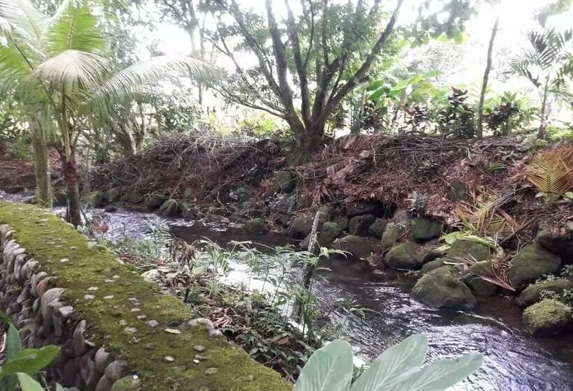 ホテル Rio Danta Hostel