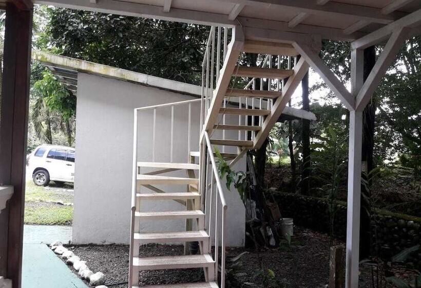 فندق Rio Danta Hostel