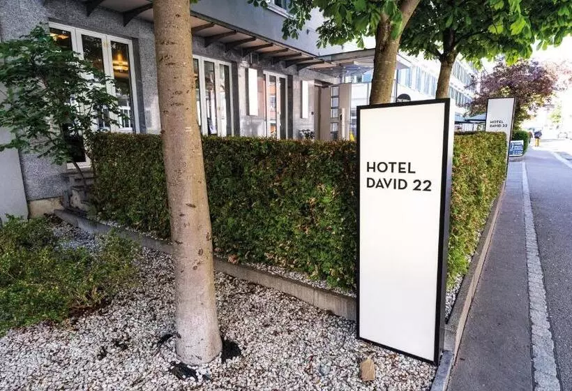 Self Check In Hotel David 22