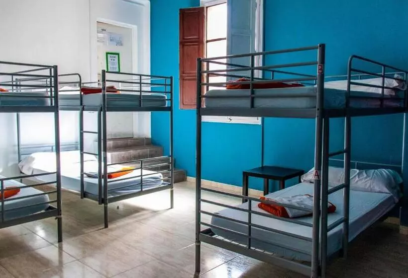 客栈 Feetup Home Backpackers Valencia