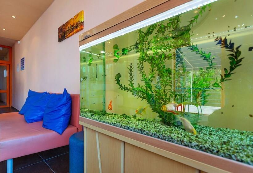 Family Hotel Jemelly