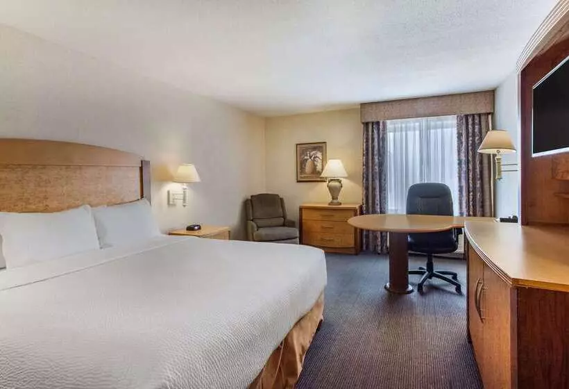 هتل La Quinta By Wyndham Islip   Macarthur Airport