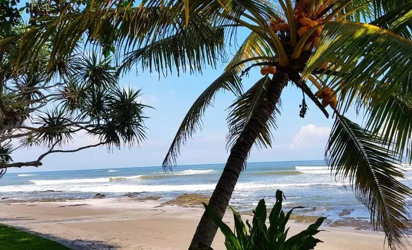 ホテル Puri Dajuma Beach Eco Resort & Spa