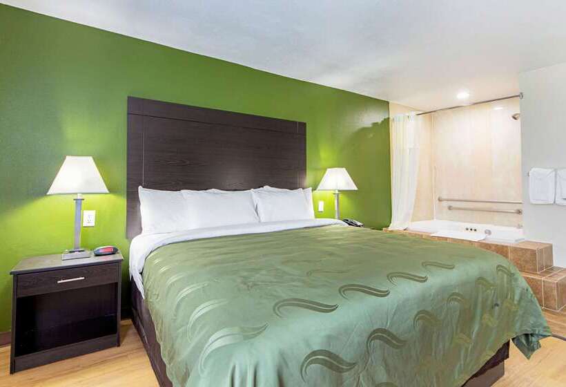 Отель Quality Inn Greenville I30