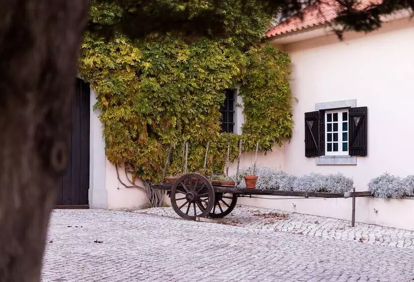 Отель Quinta Do Covanco