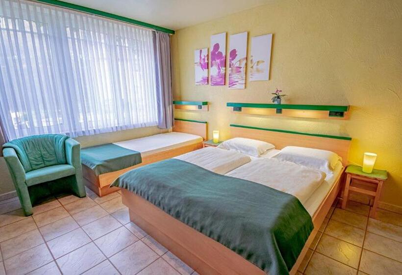 בית מלון כפרי Ulftaler Schenke