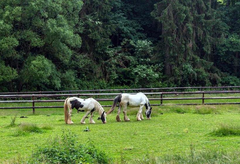 בית מלון כפרי Ulftaler Schenke