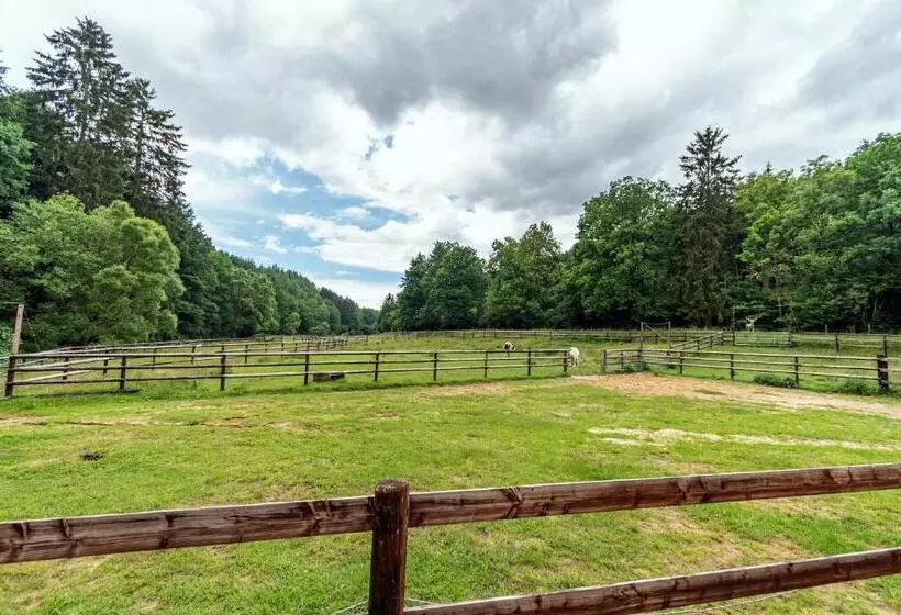 Отель Ulftaler Schenke