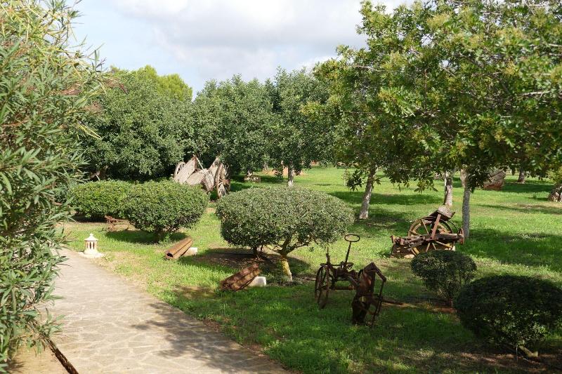 Sa Carrotja   Adults Only