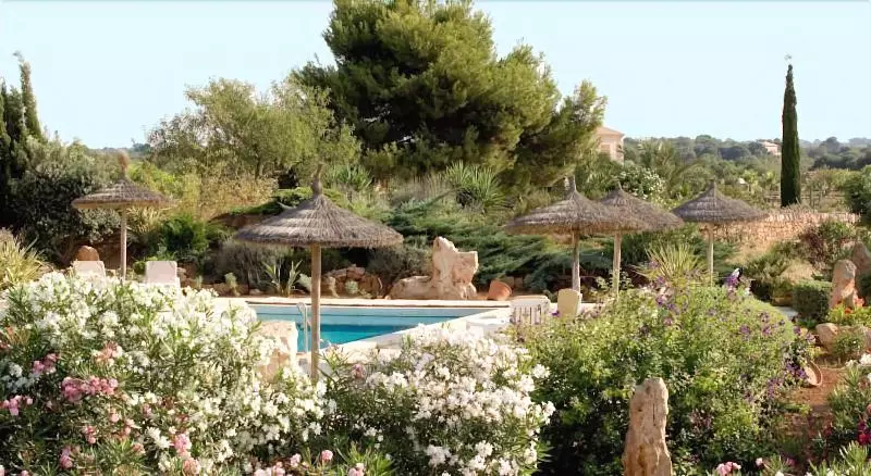 Sa Carrotja   Adults Only