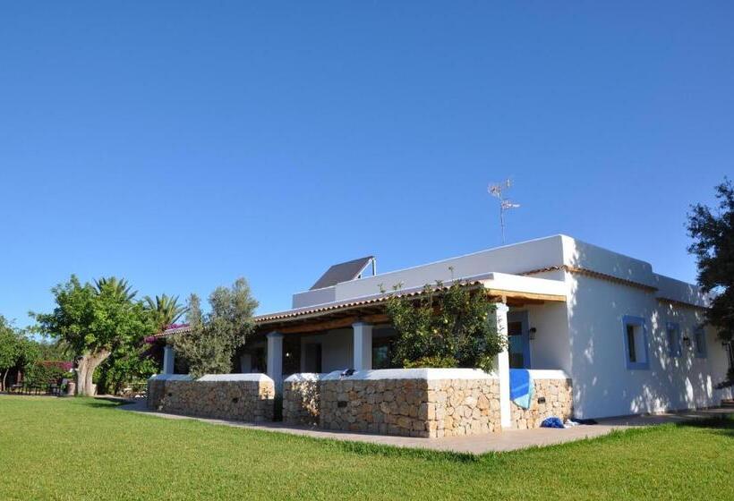 Agroturismo Sa Vinya D En Palerm