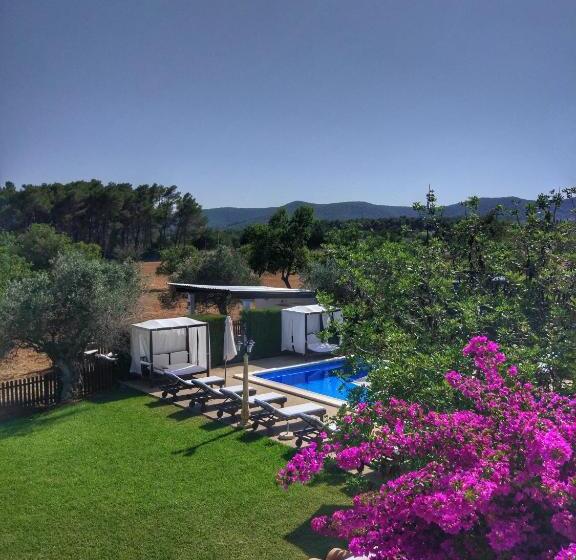 Agroturismo Sa Vinya D En Palerm