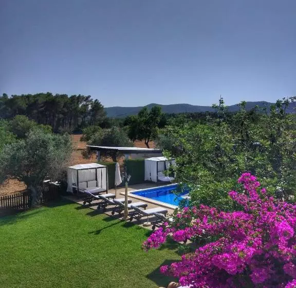 Agroturismo Sa Vinya D En Palerm