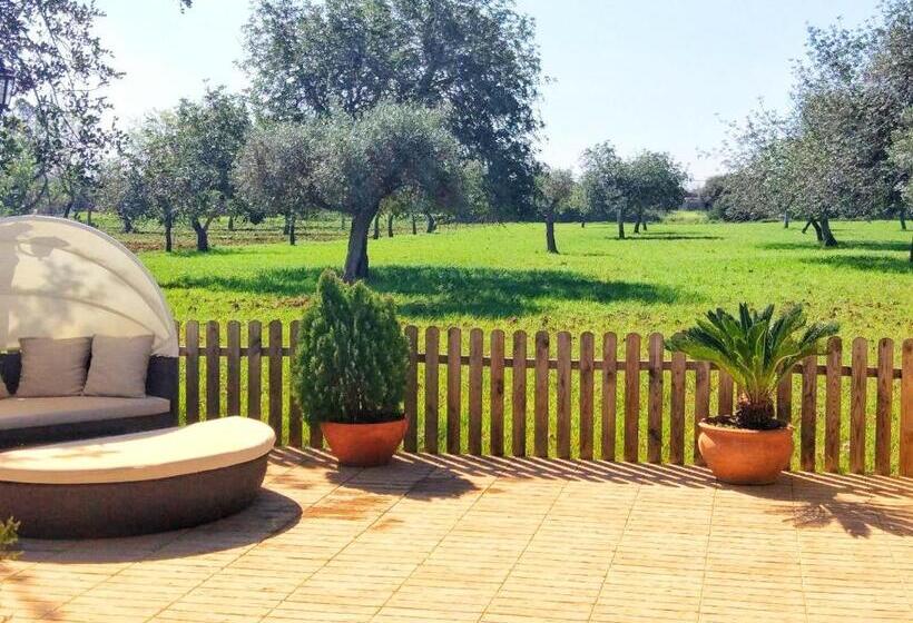 Agroturismo Sa Vinya D En Palerm