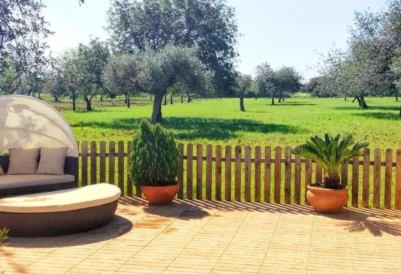 Agroturismo Sa Vinya D En Palerm