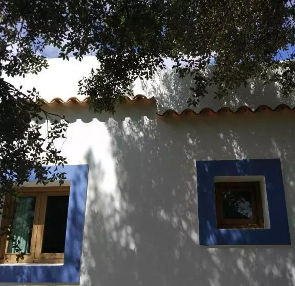 Agroturismo Sa Vinya D En Palerm