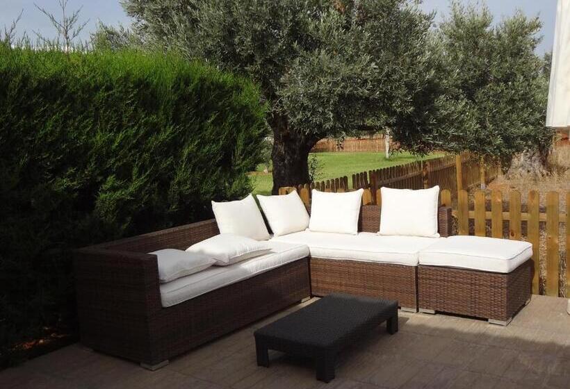 Agroturismo Sa Vinya D En Palerm