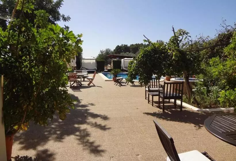 Agroturismo Sa Vinya D En Palerm