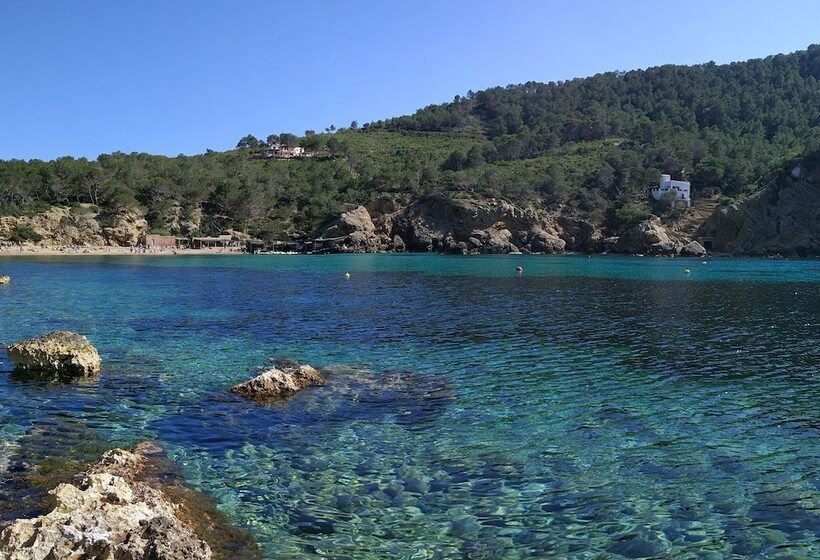 Agroturismo Sa Vinya D En Palerm