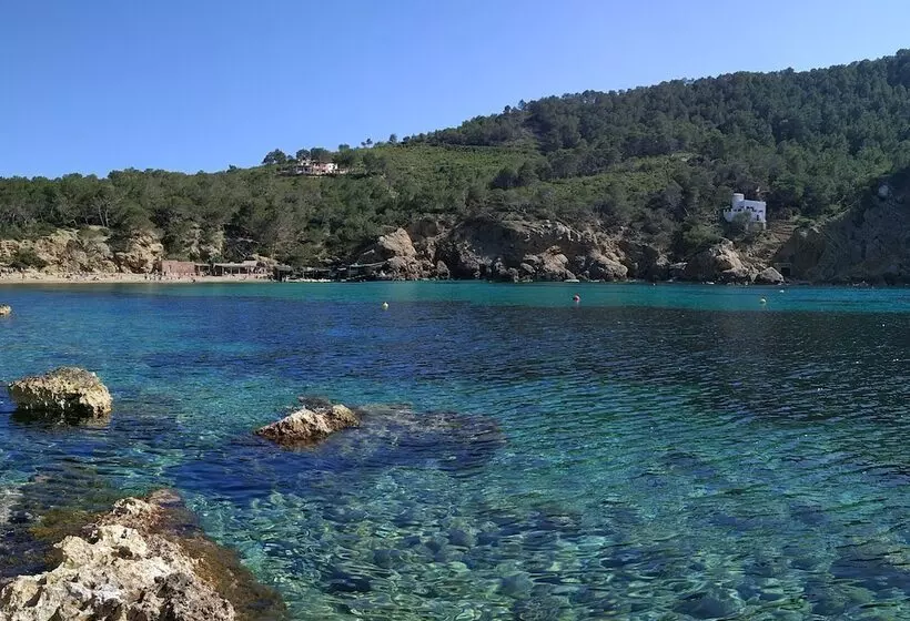 Agroturismo Sa Vinya D En Palerm