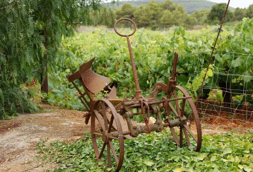 Agroturismo Sa Vinya D En Palerm
