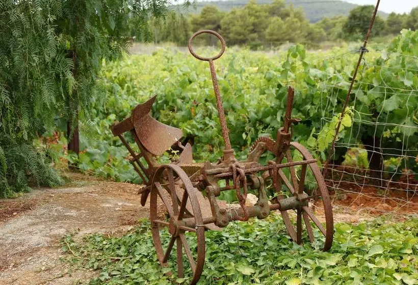 Agroturismo Sa Vinya D En Palerm