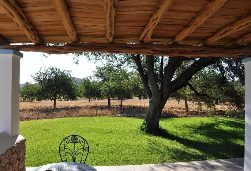 Agroturismo Sa Vinya D En Palerm