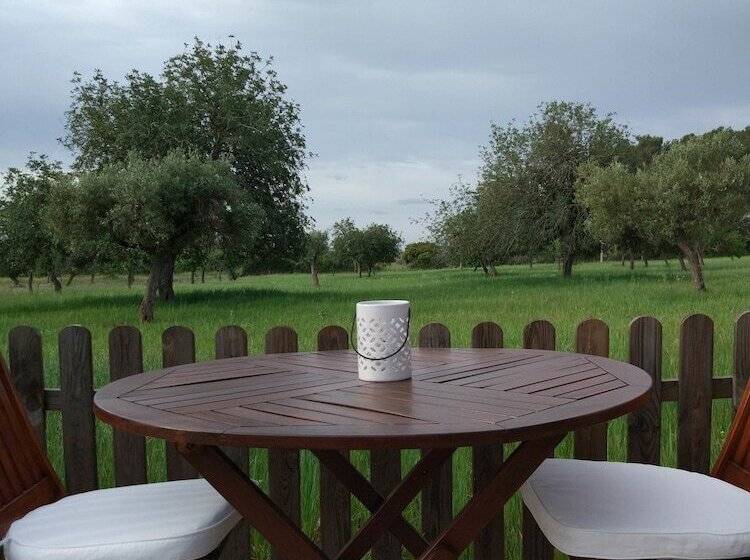 Agroturismo Sa Vinya D En Palerm