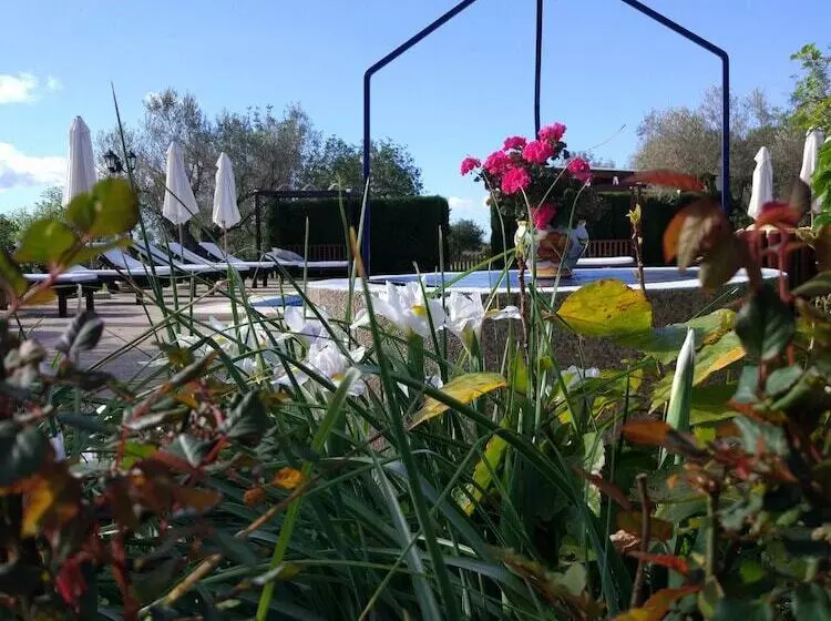 Agroturismo Sa Vinya D En Palerm