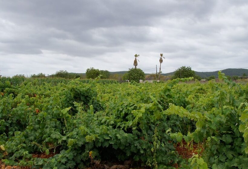 Agroturismo Sa Vinya D En Palerm