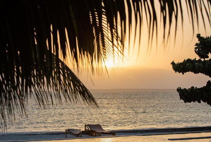 酒店 Moonshine Uroa Dikoni Boutique