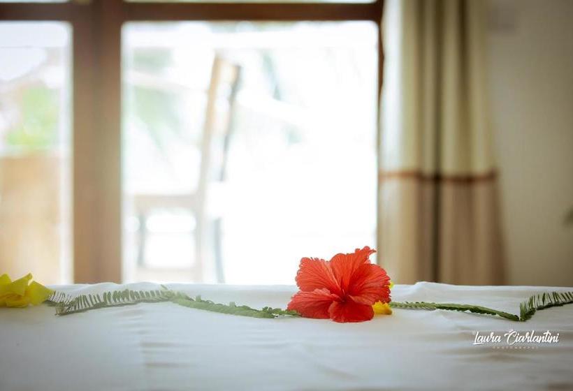 酒店 Moonshine Uroa Dikoni Boutique