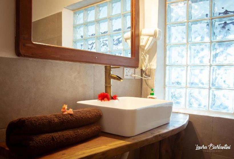 酒店 Moonshine Uroa Dikoni Boutique